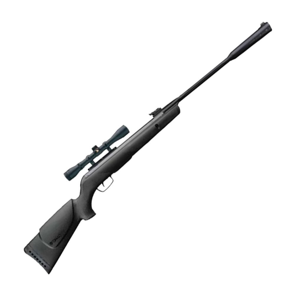 Gamo Whisper Sting .22 Air Rifle With 3-9X40 Scope - featured image