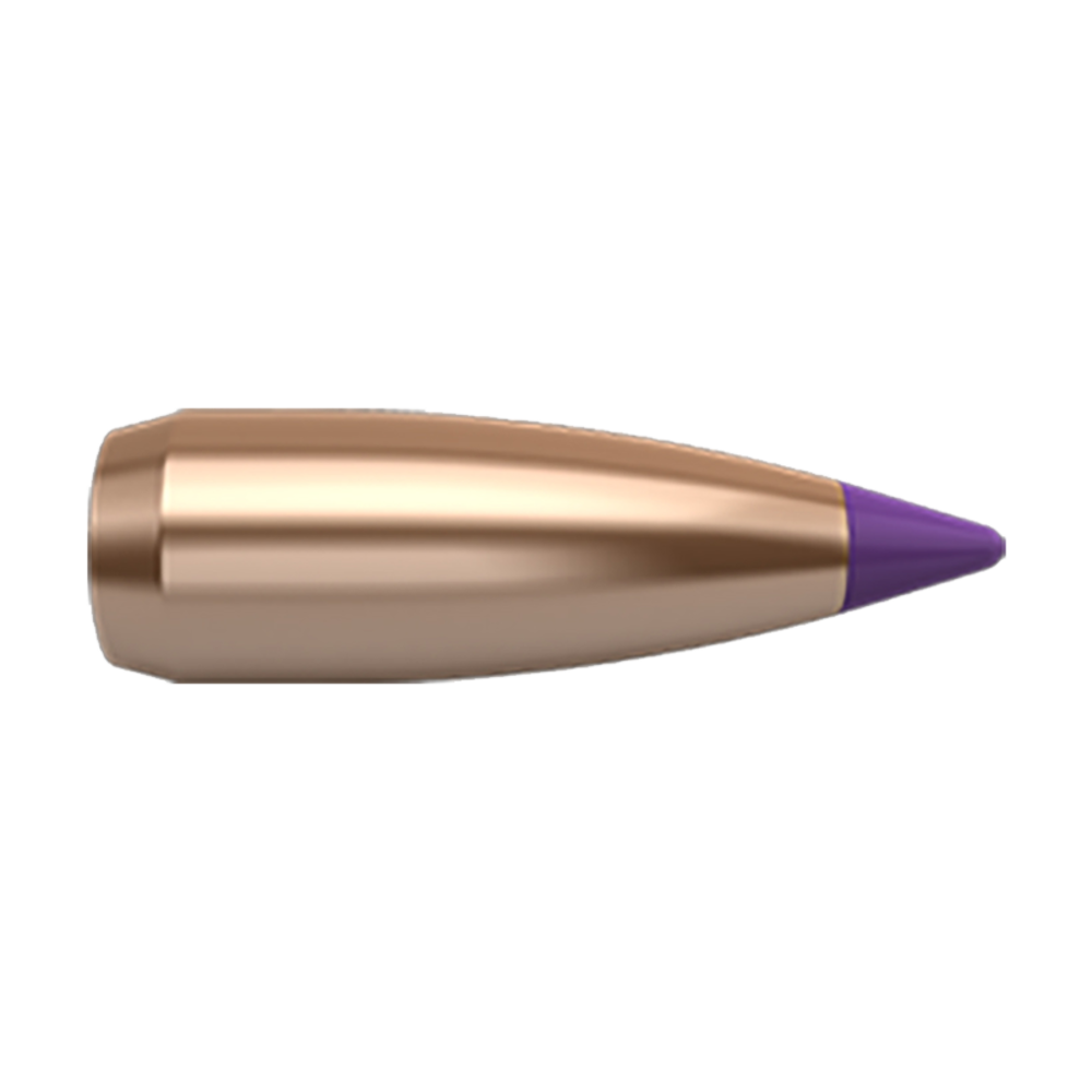 Nosler 6 mm/.243" 55gr Spitzer - featured image