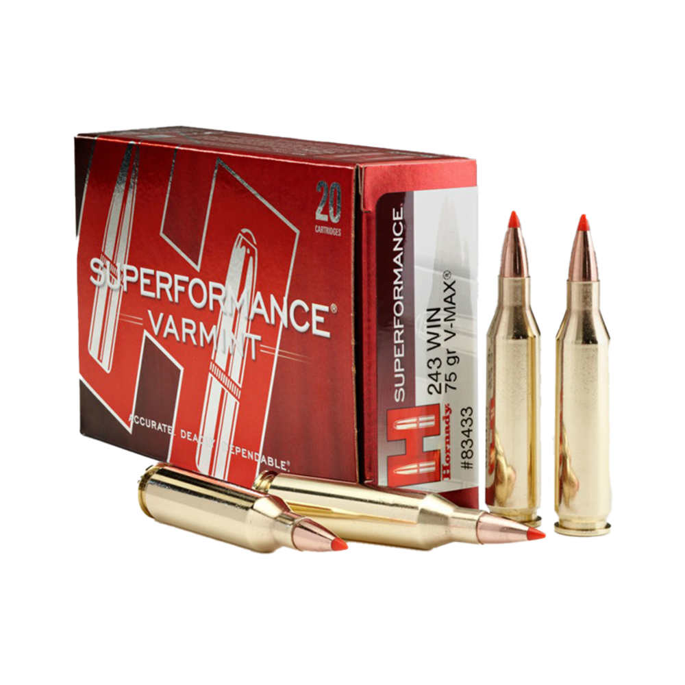 Hornady 243 75G V-Max Superformance - featured image