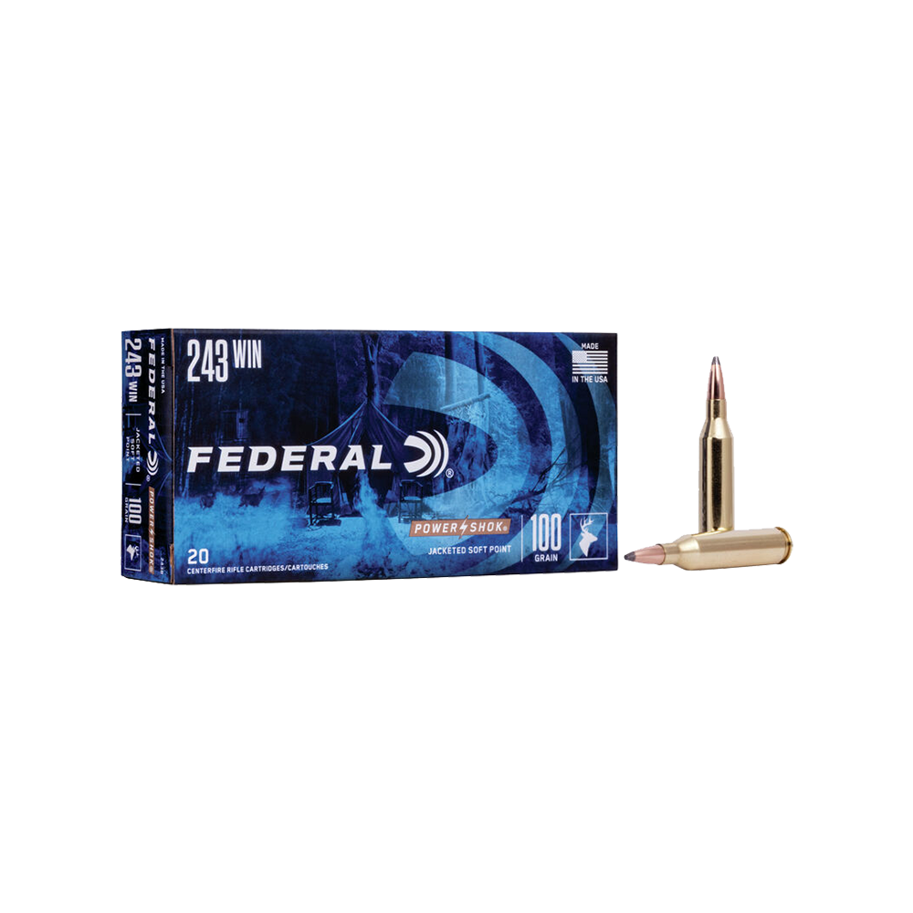 Federal Power Shok 243 Sp 100G - featured image