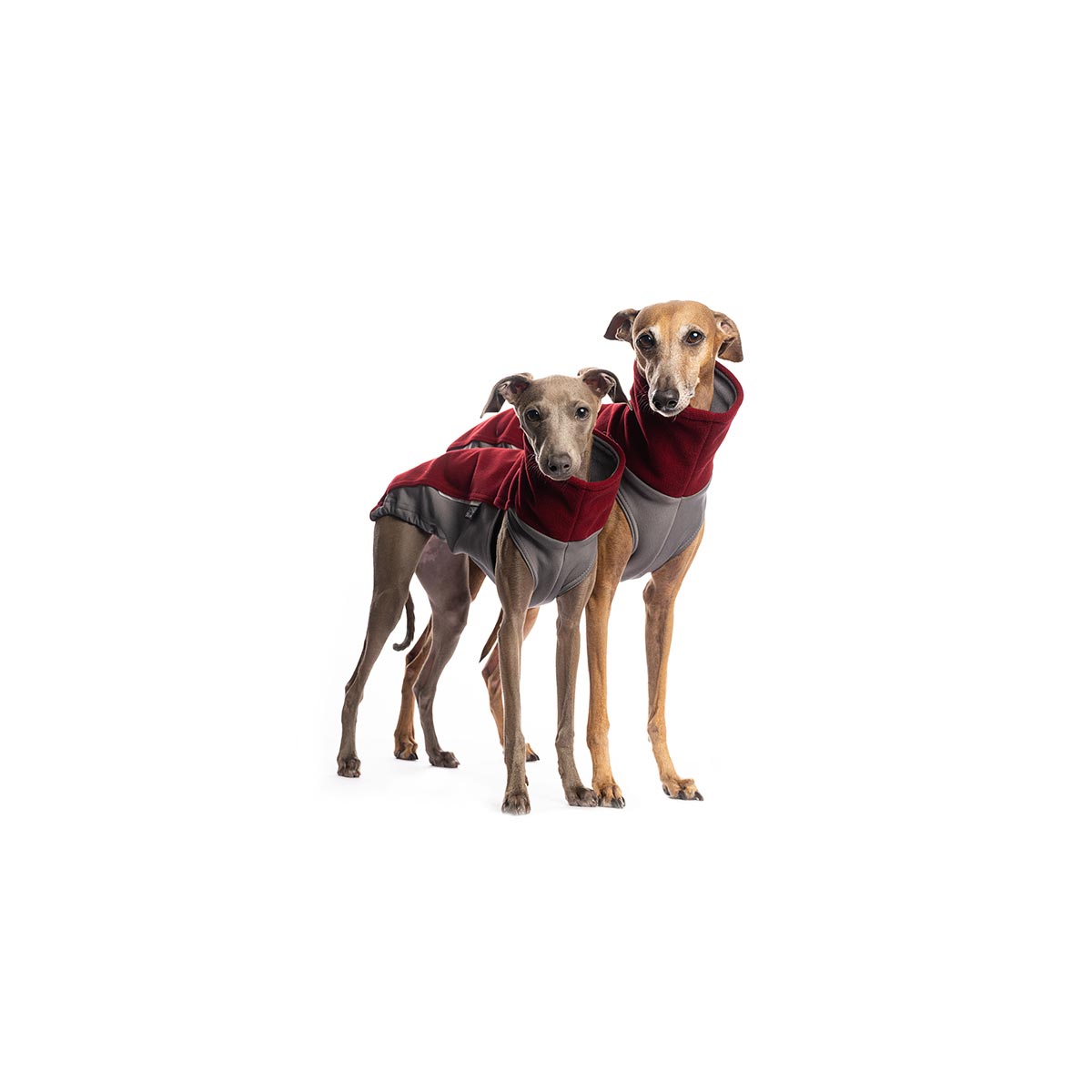 DG Hondenshirt Outdoor Top Extreme Ruby Wine