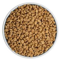 Bixbi Rawbble Kibble Dog Food - Pork