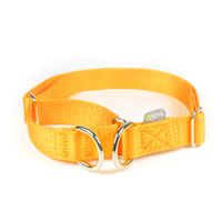 ppark i-Series 2-Way Martingale Dog Collar Mango M