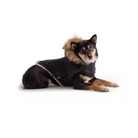 Go Fresh (GF) Pet Urban Parka Dog Jacket