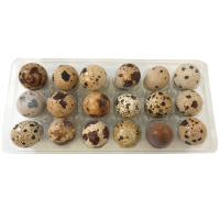 Big Country Raw - Frozen Quail Eggs 18 ct