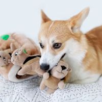 Outward Hound Plush Dog Toy - Hide A Squirrel  Small