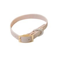 Dexypaws Waterproof Dog Collar - Nude XL
