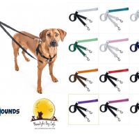 2 Hounds Freedom No-Pull Dog Leash
