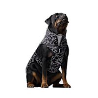 Canada Pooch The Expedition 2.0 Dog Winter Coat - Reflective 14"
