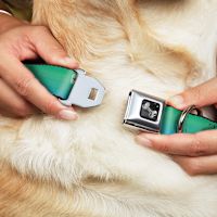 Buckle-Down Dog Bone Aviation Seatbelt Buckle Dog Collar - Teal Ombre Medium 1"