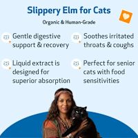 Pet Wellbeing - Slippery Elm for Cats 2 oz