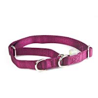 ppark i-Series 2-Way Martingale Dog Collar Wine M