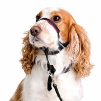 Company of Animals - Halti Optifit Head Collar