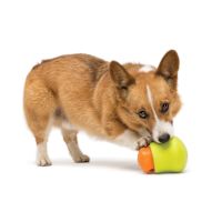 West Paw Dog Toy Zogoflex TOPPL