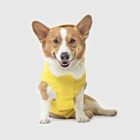 Canada Pooch Torrential Tracker Dog Rain Coat - Yellow 18"