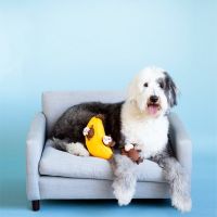 ZippyPaws Zippy Burrow Monkey 'n Banana Dog Toy