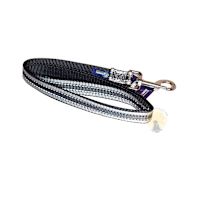 2 Hounds Nylon Regular Dog Leash 4 ft Reflective Black 1"