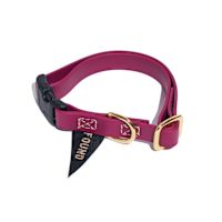 Found My Animal Water Resistant Dog Collar - Berry S