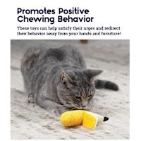 Catstages Catnip Dental Chew Toy - Banana