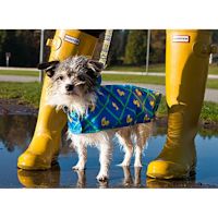 RC Pets Packable Rain Dog Poncho Rubber Ducky XS