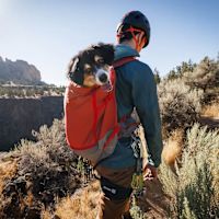 Ruffwear Hitch Hiker Dog Backpack Carrier