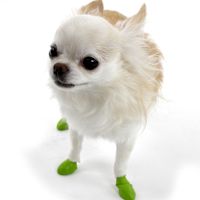 Pawz Dog Boots Shoes - Black 1" (Tiny)