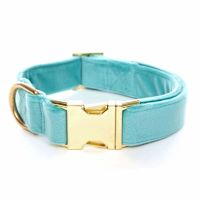 Handmade in USA Dog Collar - Robin's Egg Blue Metal Buckle L 1"