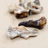 Dehydrated Canadian Lamb Ear Dog Chew with Hair 3"-4" Single
