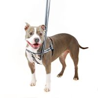 2 Hounds Freedom No-Pull Dog Harness - Reflective Black M 1"