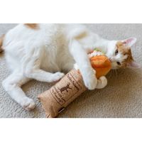 PLAY Cat Toy - Feline Frenzy Catnip Kicker Tuna Baguette