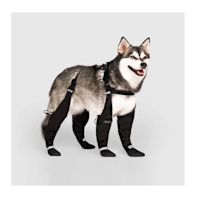 Canada Pooch Suspender Dog Boots - Black 4