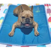 Green Pet Shop - Cool Pet Pad Bed L (35" x 23.6")