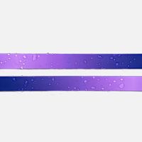 Woof Concept Waterproof Dog Collar - Empress L 1"