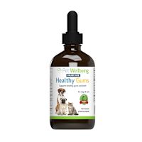 Pet Wellbeing - Healthy Gums for Dogs 2 oz
