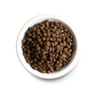 Open Farm Grain-Free Dog Kibble - Farmer's Table Pork 4 lb