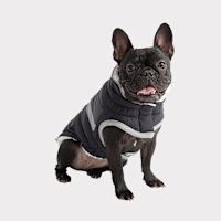 Go Fresh (GF) Pet Alpine Puffer Dog Jacket Black XS