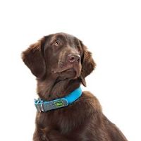 Hunter Waterproof Convenience Dog Collar