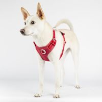 ppark AirFit Front-Clip Dog Harness Red Denim L