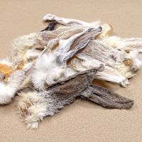 Dehydrated Rabbit Ear Dog Chew 75 g