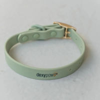 Dexypaws Waterproof Dog Collar - Sage Green