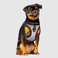 Canada Pooch Everything Mesh Dog Harness Reflective XL