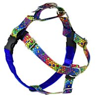 2 Hounds Freedom No-Pull Dog Harness - EarthStyle ROY G BIV XS 5/8"