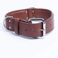 Angel Dallas Designer Leather Dog Collar 28" x 2"