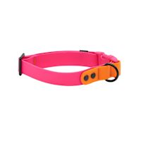 RC Pets - Waterproof Dog Collar Azalea/Orange L
