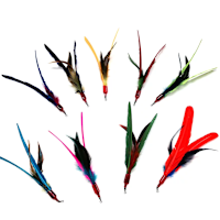 Go Cat Da Bird Feather Refill