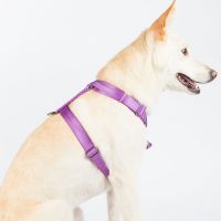ppark i-Series "H" Dog Harness Violet S