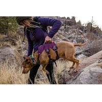 Ruffwear Web Master Dog Harness with Handle Purple Rain L/XL