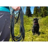 RC Pets Long Line Training Leash 3/4" x 15-foot