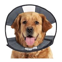 Zenpet Comfy Dog e-Collar - ZenCone Pro Cone  XL (18"-23")