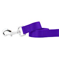 2 Hounds Nylon Regular Dog Leash 4 ft Purple 1"